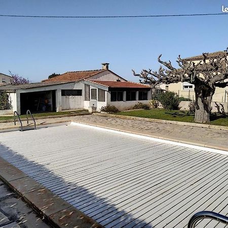 Chalet Typique Au Coeur De La Petite Camargue Villa Vauvert Luaran gambar